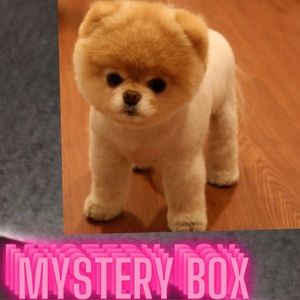Size SMALL Mystery Box home decor